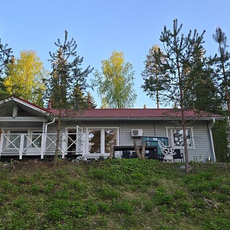 Valentin Cottage Enonkoski Dış mekan fotoğraf