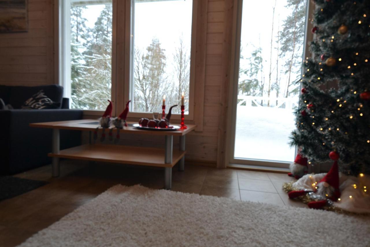 Valentin Cottage Enonkoski Dış mekan fotoğraf